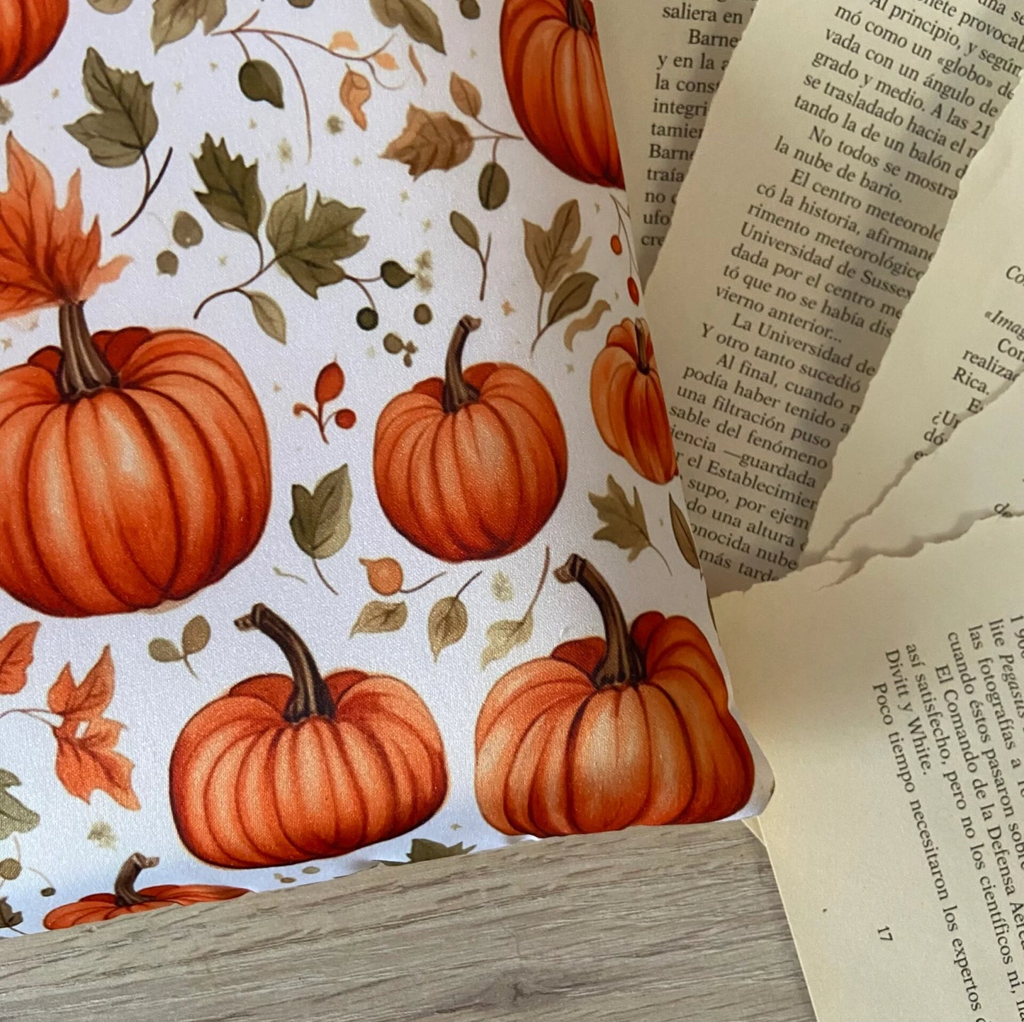 Funda literaria las calabazas