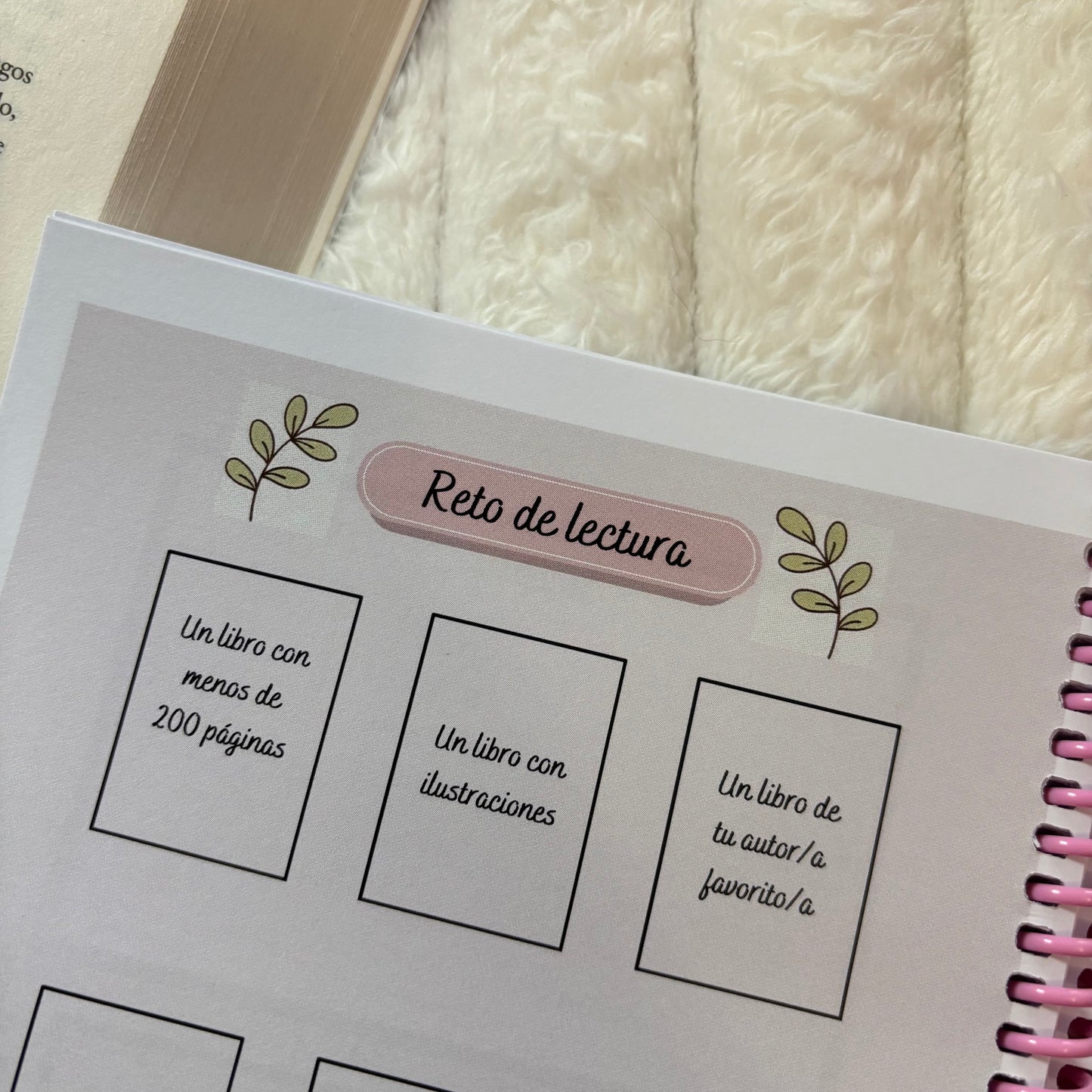 Cuadernos de lectura con tara outlet