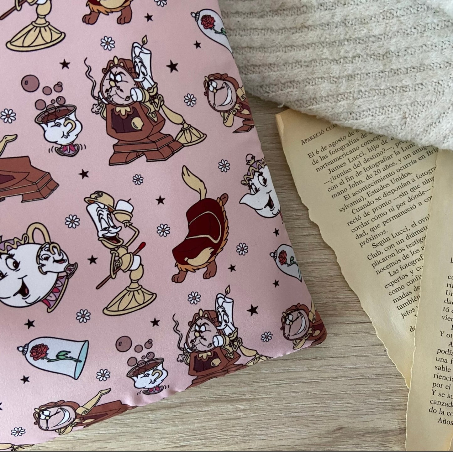 Funda literaria amigos de Bella